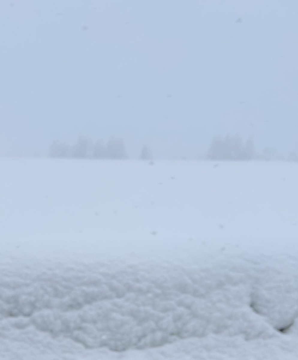 こんなんなんだけど総選挙すんの？