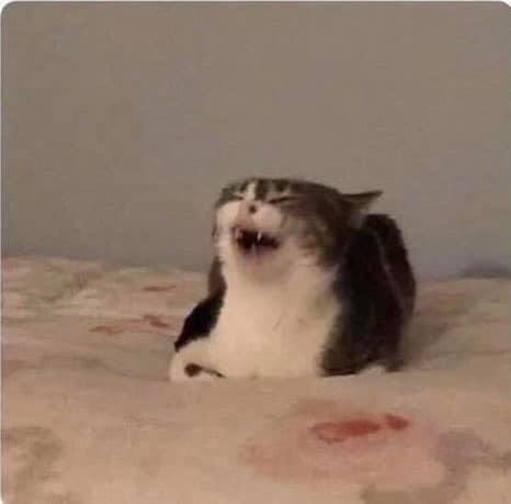 *bloopers de pixar* // yo viendolos por millonesima vez