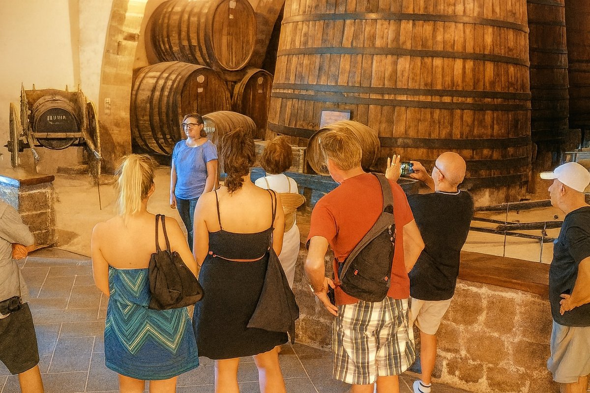 AnemosTours's tweet image. 🥗 In the Mediterranean, food isn't just fuel, it's a celebration.

🍷 Wine flows, flavors dance, and every meal is a cultural ritual. Discover the heart of this lifestyle with us at AnemosTours.com 🌿

#MediterraneanDiet #FoodCulture #WineLovers