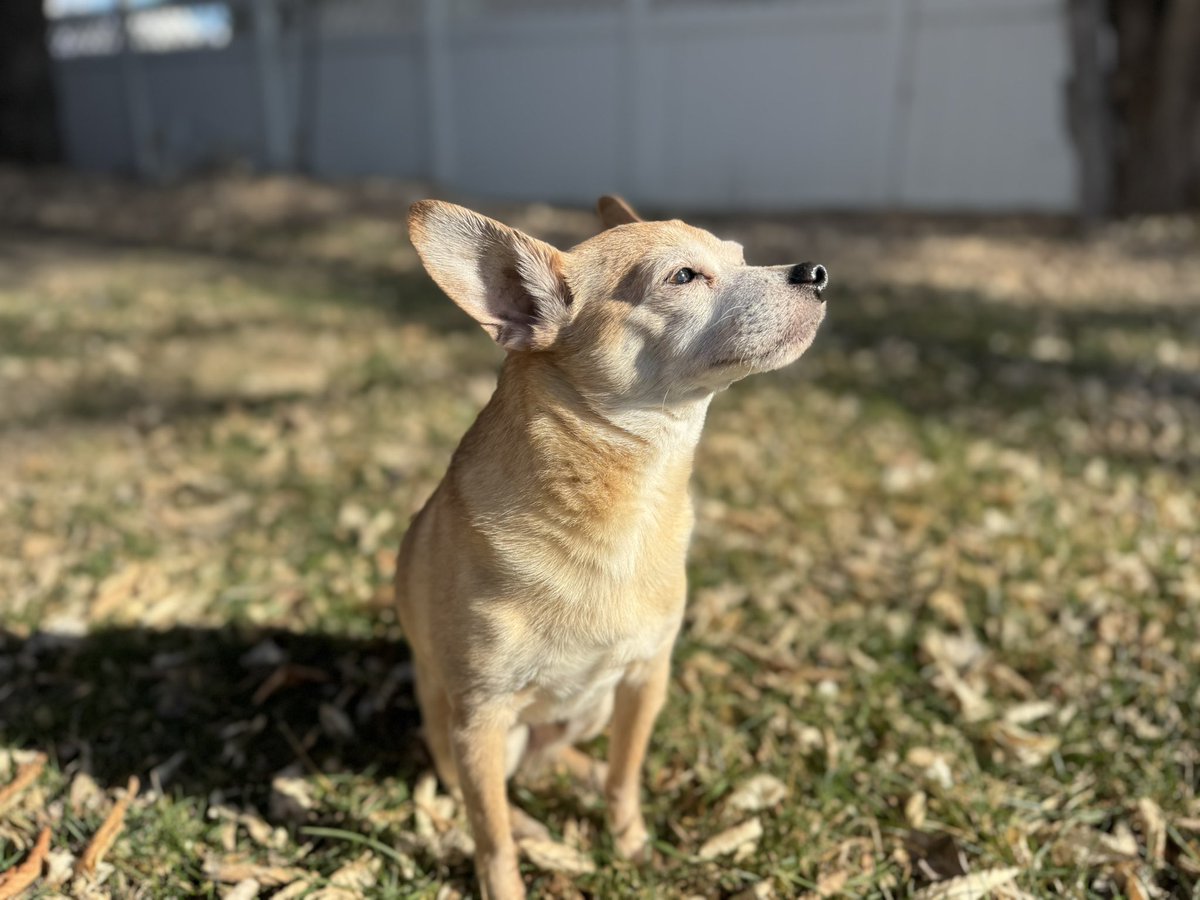 Happy Tuesday 🐶❤️