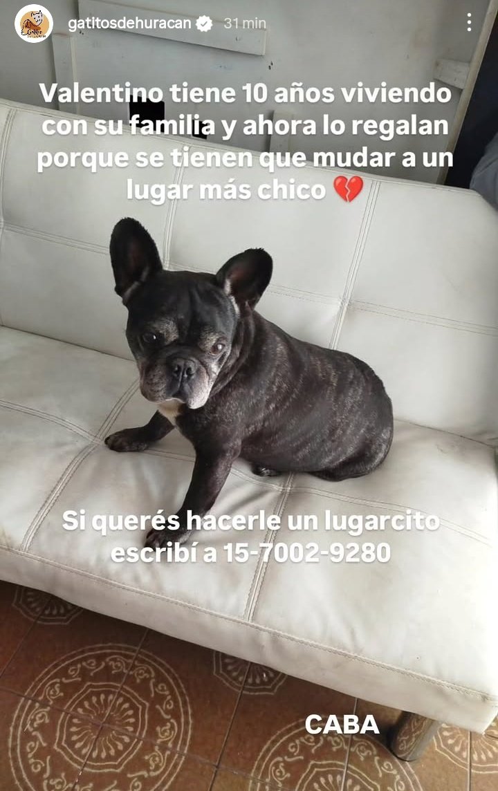 AkiNoMeMaquillo's tweet image. Que mierda algunas personas, pero bueno, lo comparto porque esos humanos no se merecen a Valentino ❤️‍🩹
(Puchi si podes RT @lagarzasosa_)