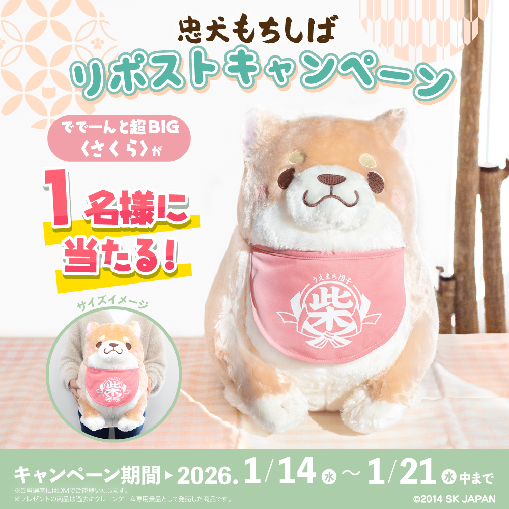 忠犬もちしば【公式】 tweet media