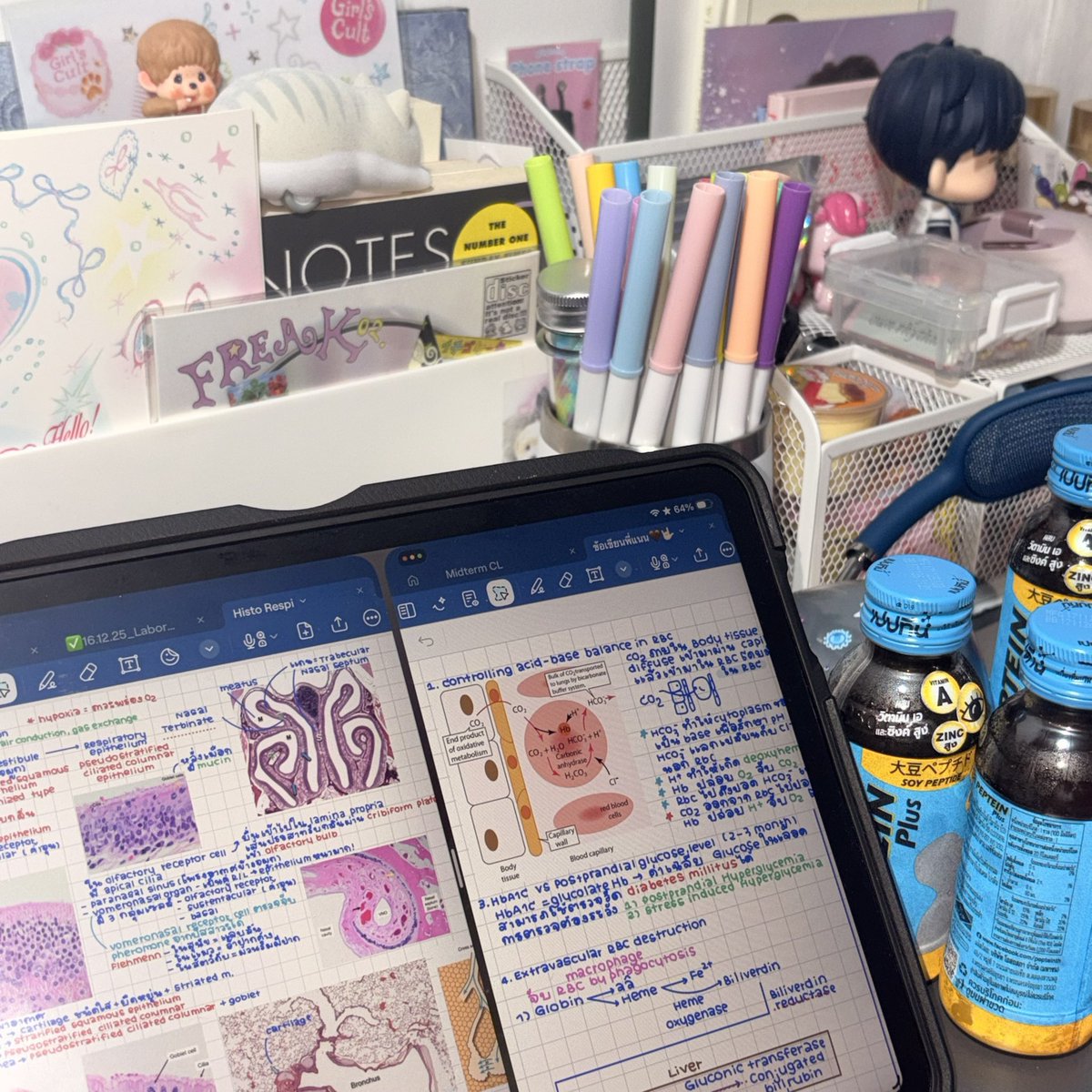 Bibbidiboooh's tweet image. ദ്ദി ≽^⎚˕⎚^≼ .ᐟ