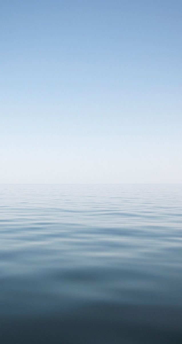 neta_d's tweet image. 明日のプレゼン準備がまだ終わってない
焦る 👩‍🦯