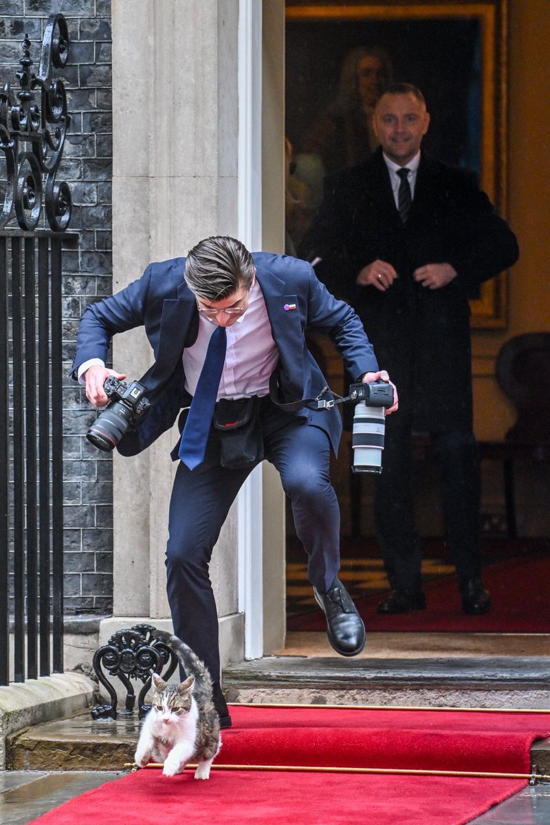visegrad24's tweet image. The Polish President’s photographer caught tripping over Larry the Cat outside 10 Downing Street as President Nawrocki watches him. 🇵🇱🇬🇧

📸 Damian Burzykowski
