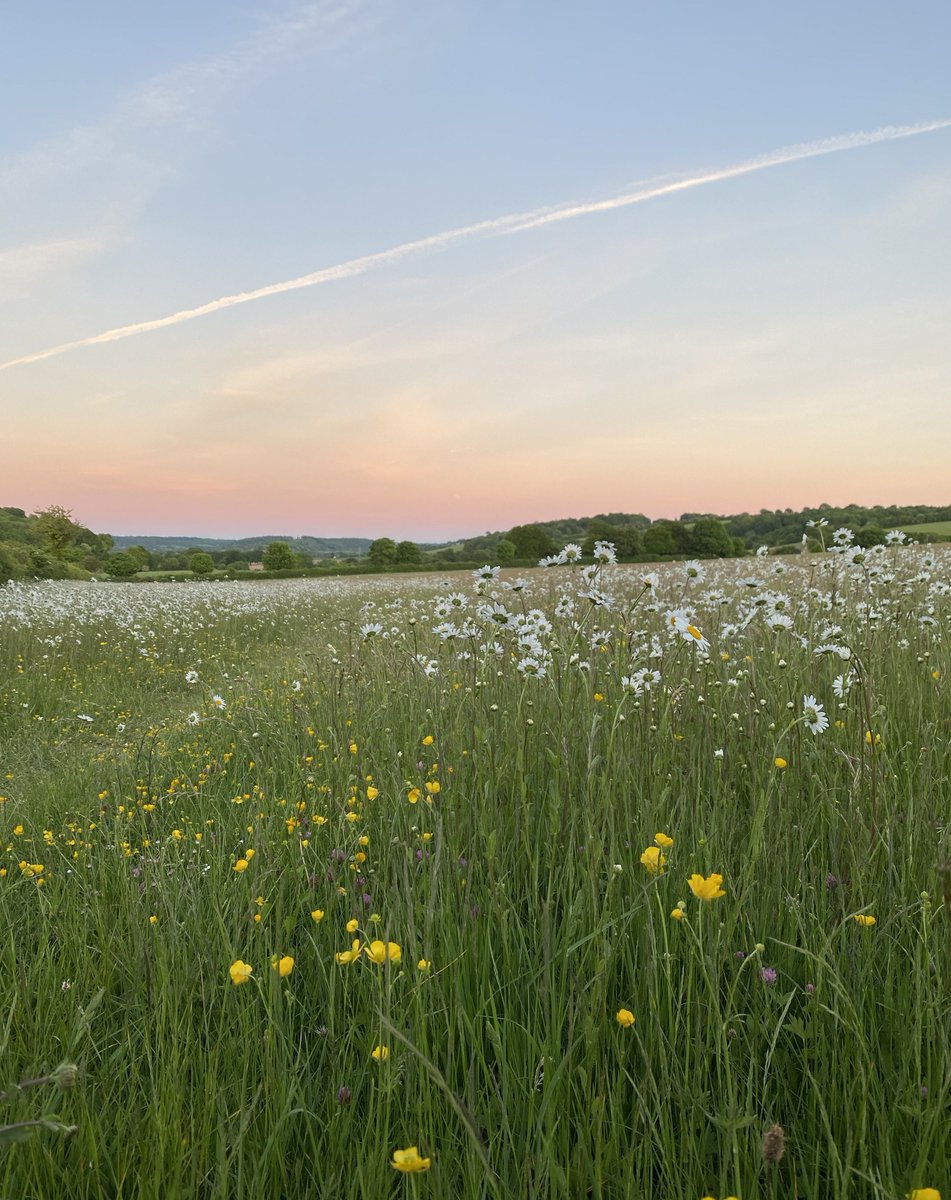 BoreBash's tweet image. 明日から3連休
何も予定ないけど嬉しい 🍳