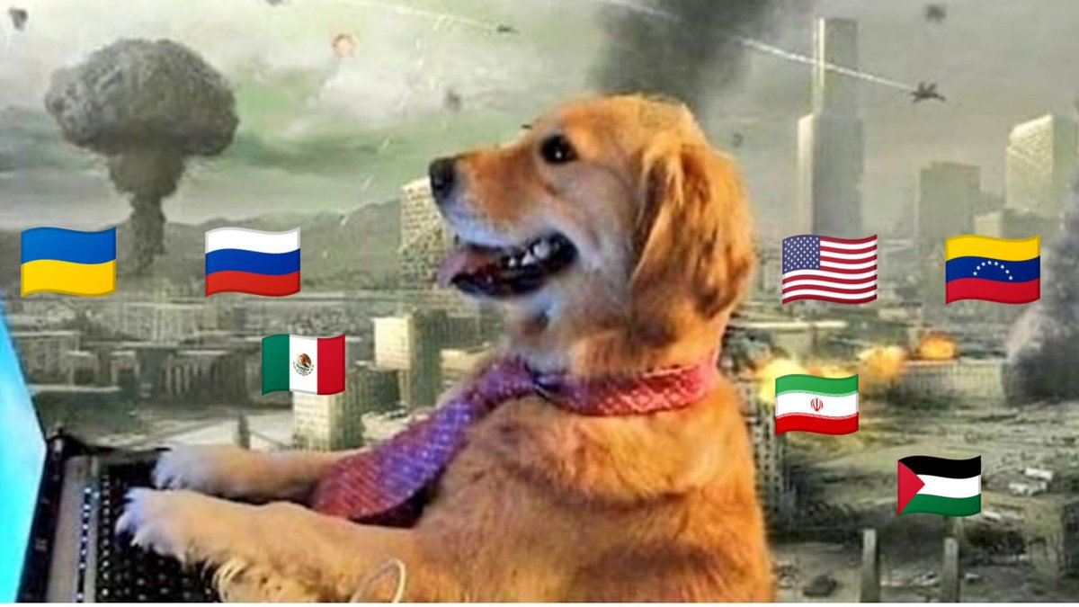 El mundo:
Yo tratando de graduarme 🐶: