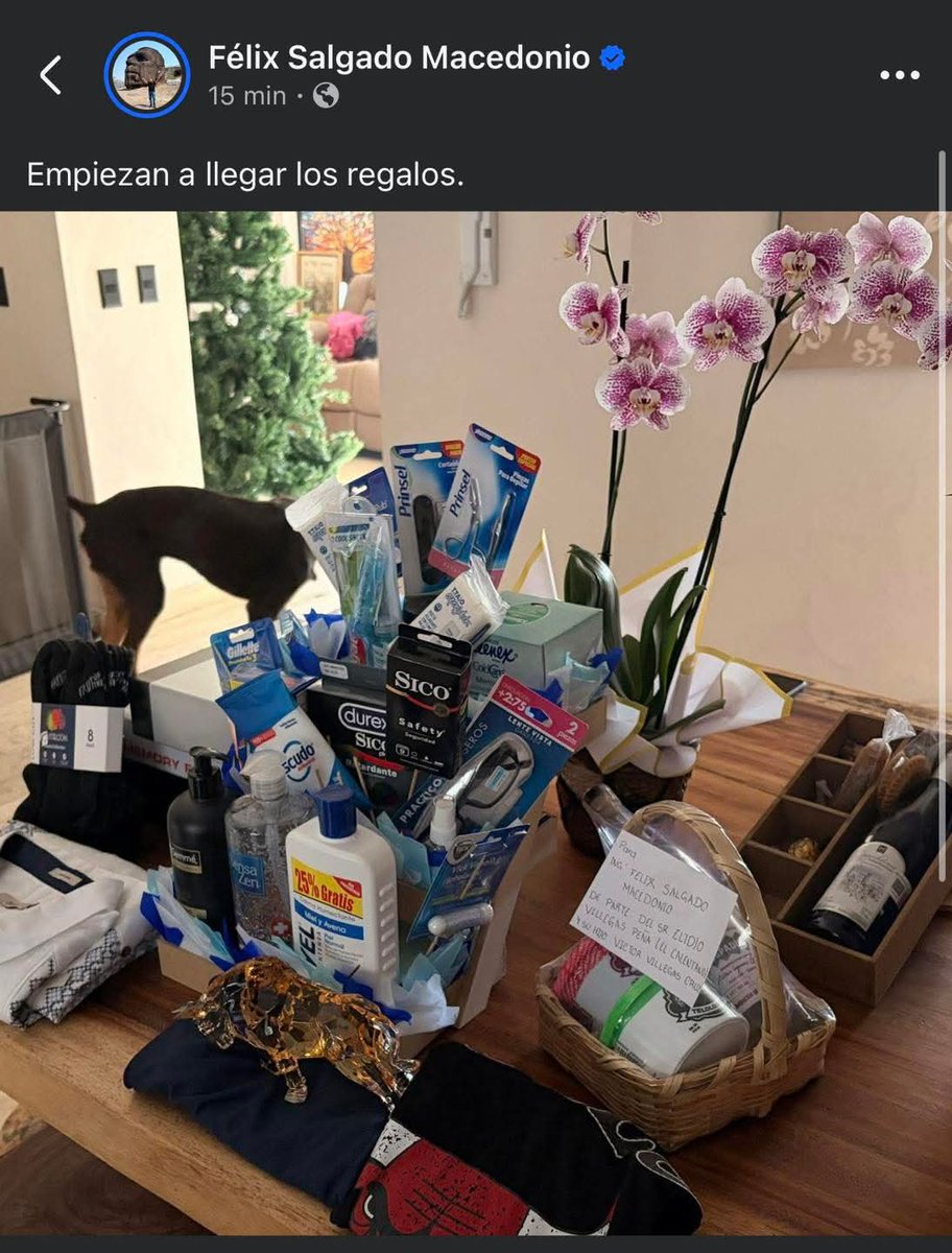 El P3ND3JO de Félix Salgado Macedonio borra esta publicación al darse cuenta de su Estupidez...