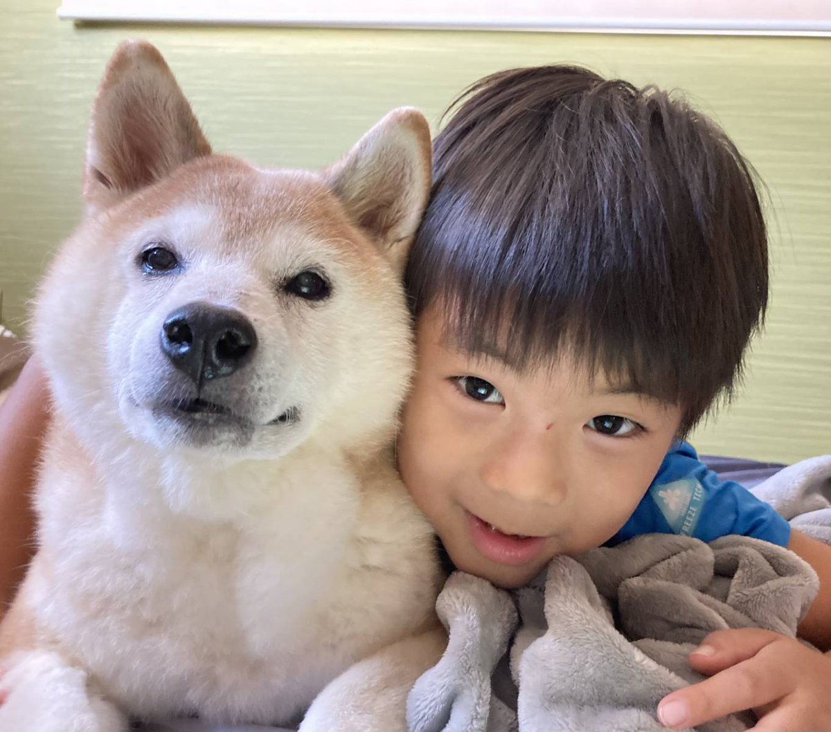 ちゃーくん tweet media