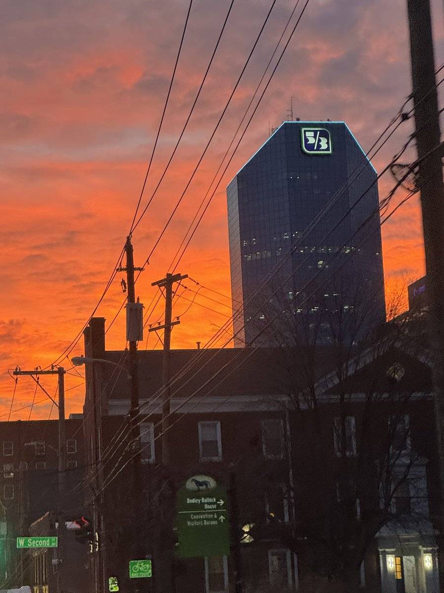 TransyGuys tweet media