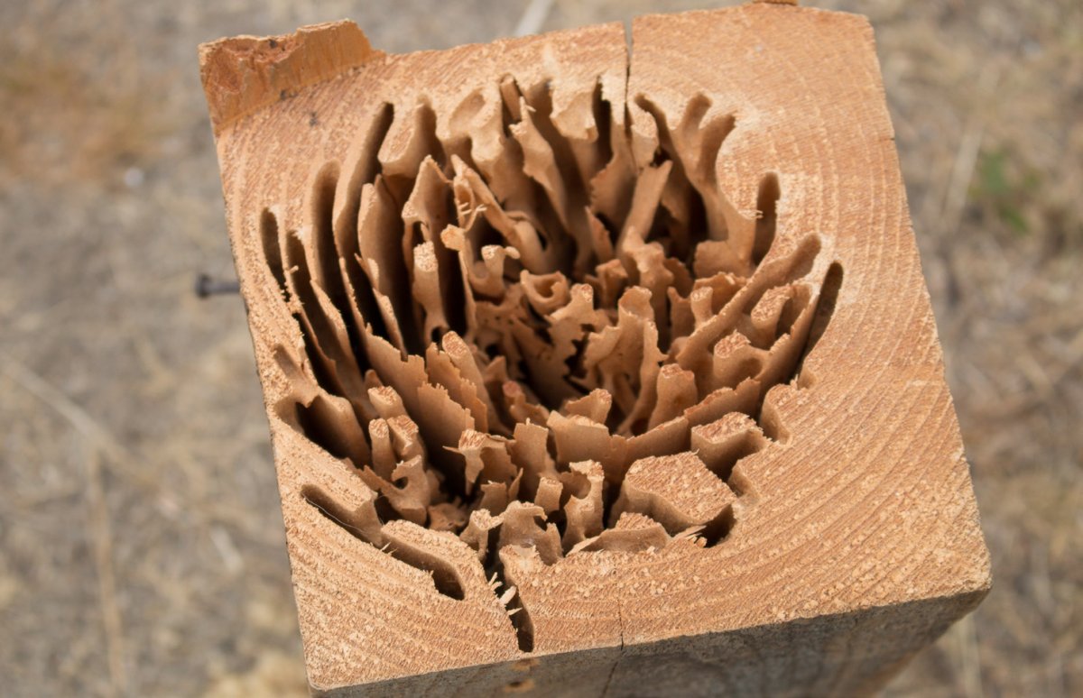 John Carter tweet media