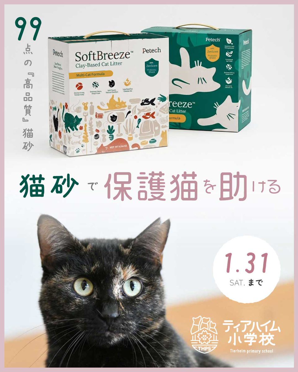 保護ねこ施設 ティアハイム小学校 tweet media