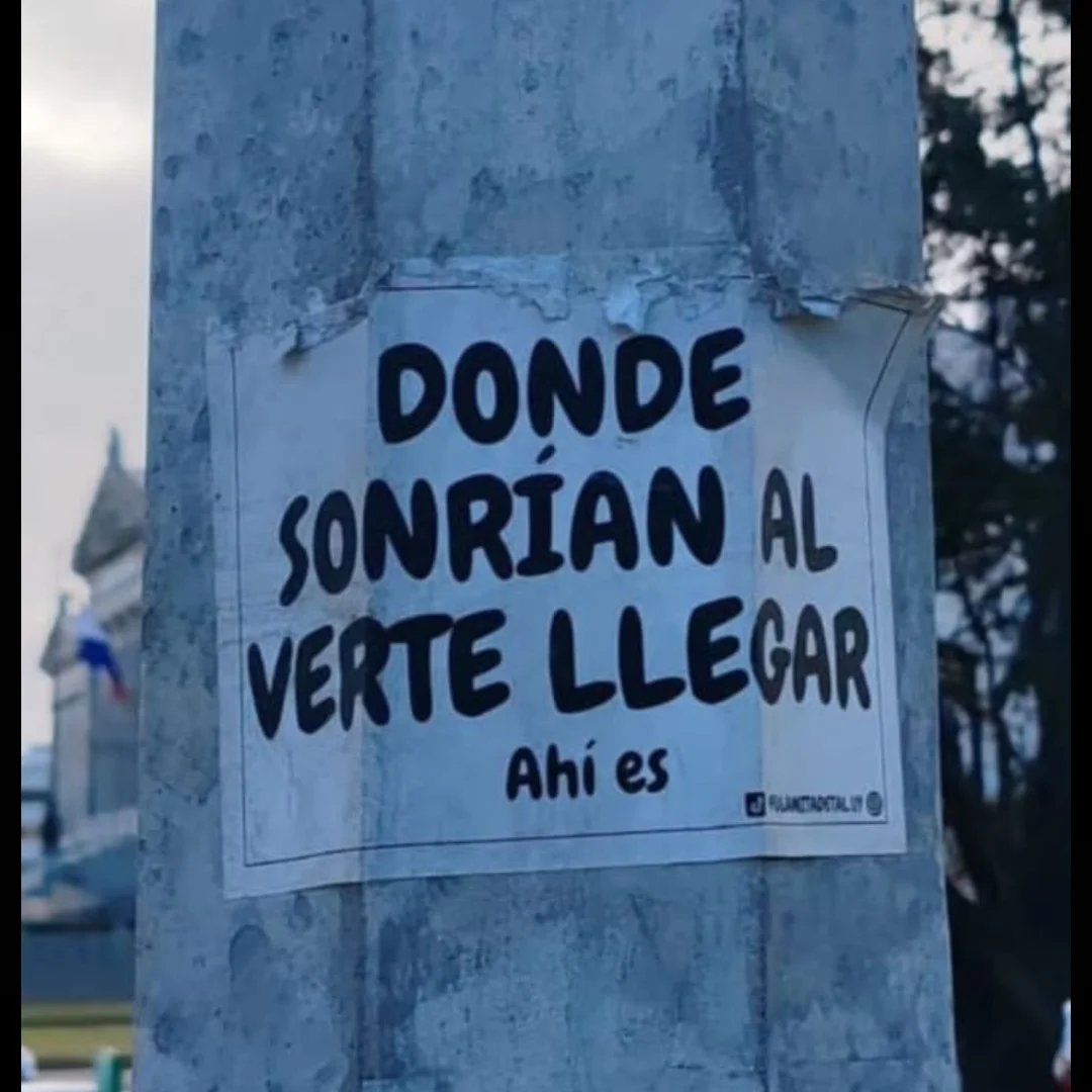 RincnCuriosoo's tweet image. 