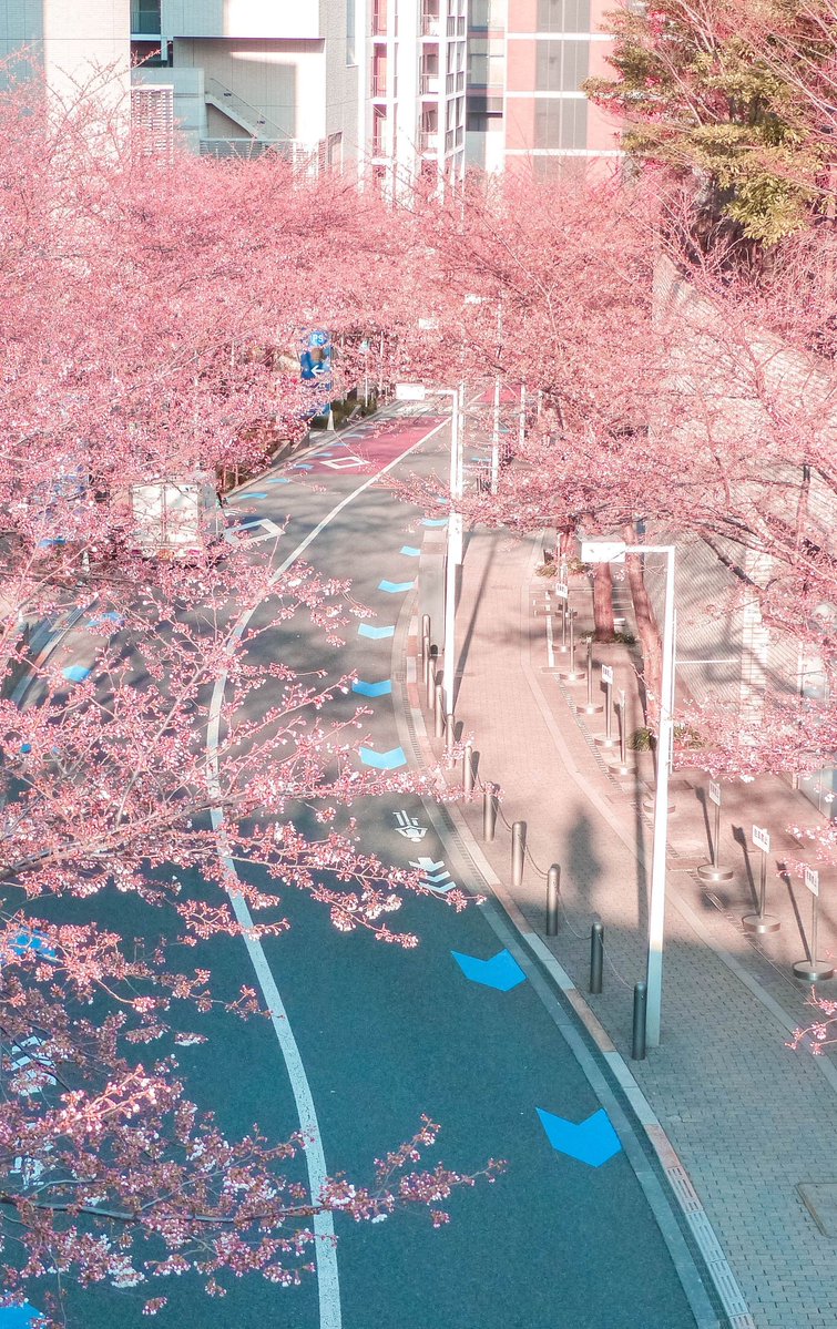 Edgar159's tweet image. 時間が足りない
1日30時間欲しい ☁️