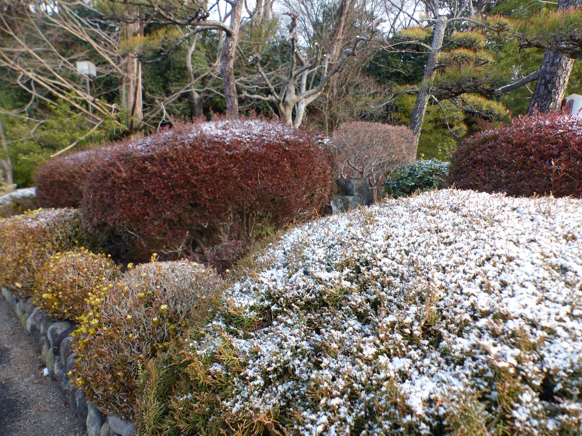 うっすらと雪が残る白石城です❄️
本日、お隣の神明社さんではどんと祭が行われます
それに合わせ小十郎茶屋では夕方から夜にかけて温かい飲食物を販売します！ぜひお立ち寄りください～😋