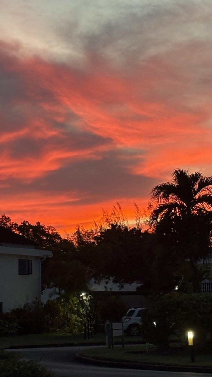 Lynn Spina tweet media