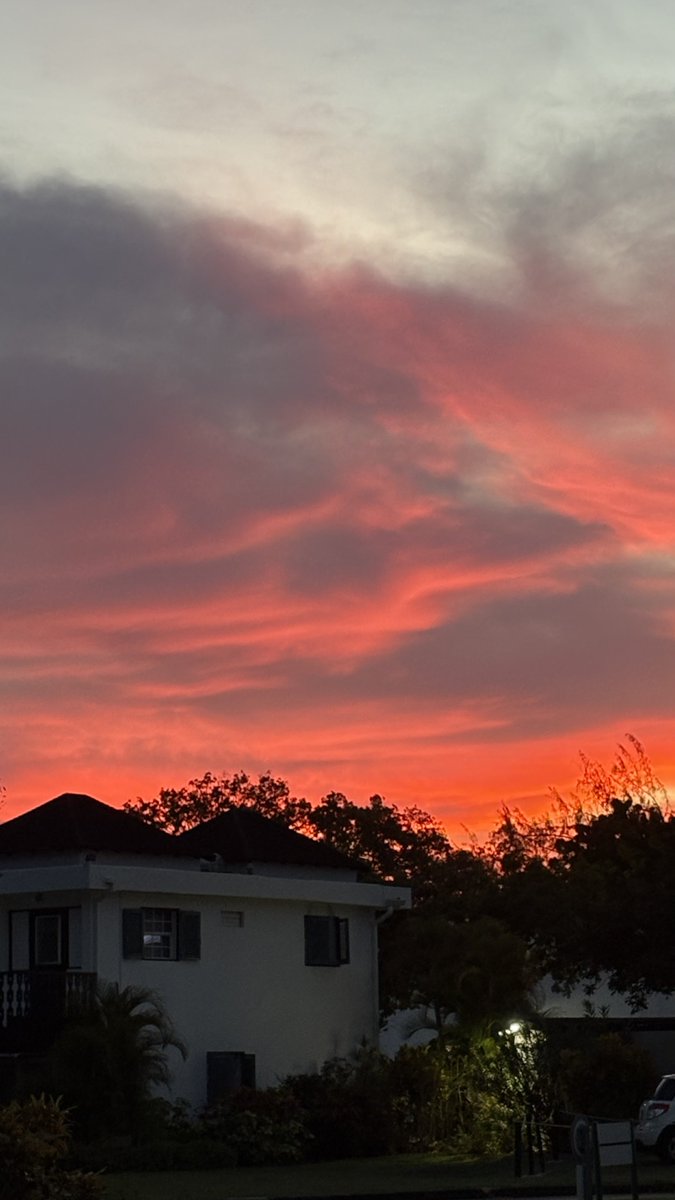 Lynn Spina tweet media