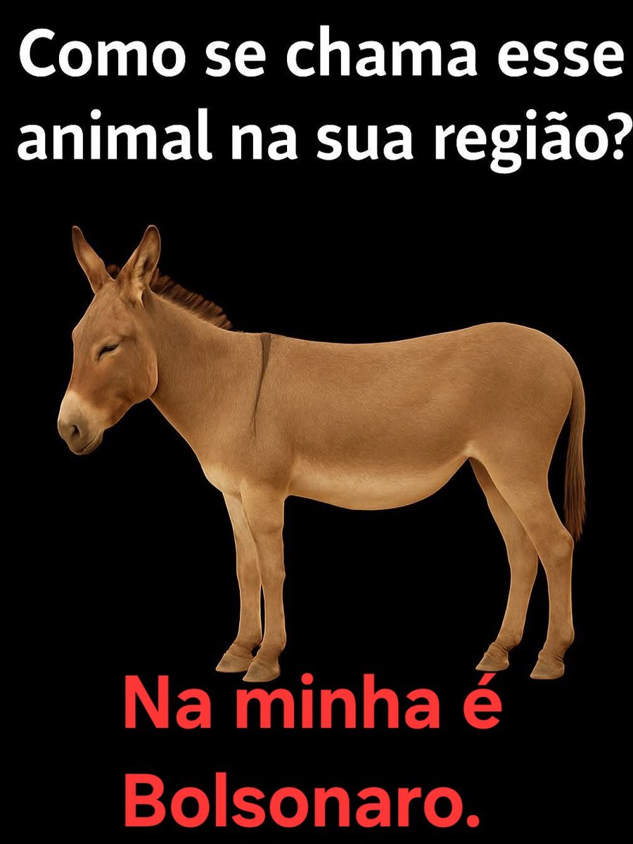 ADuradora's tweet photo. @2026Enquetes @FlavioBolsonaro https://t.co/hJilKzYY3s
