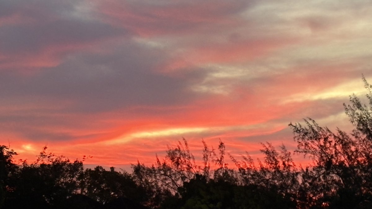 Lynn Spina tweet media