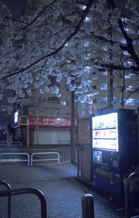 edtimwar's tweet image. 久々に実家に帰って
母の手料理が恋しくなった 🍲