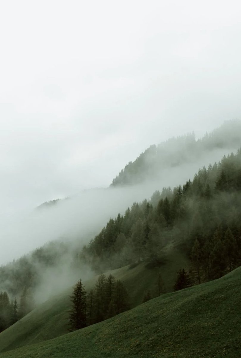 gstringextreme's tweet image. 新発売のお菓子を買ったら想像と違う味でがっかり
次は口コミをチェック 🐪