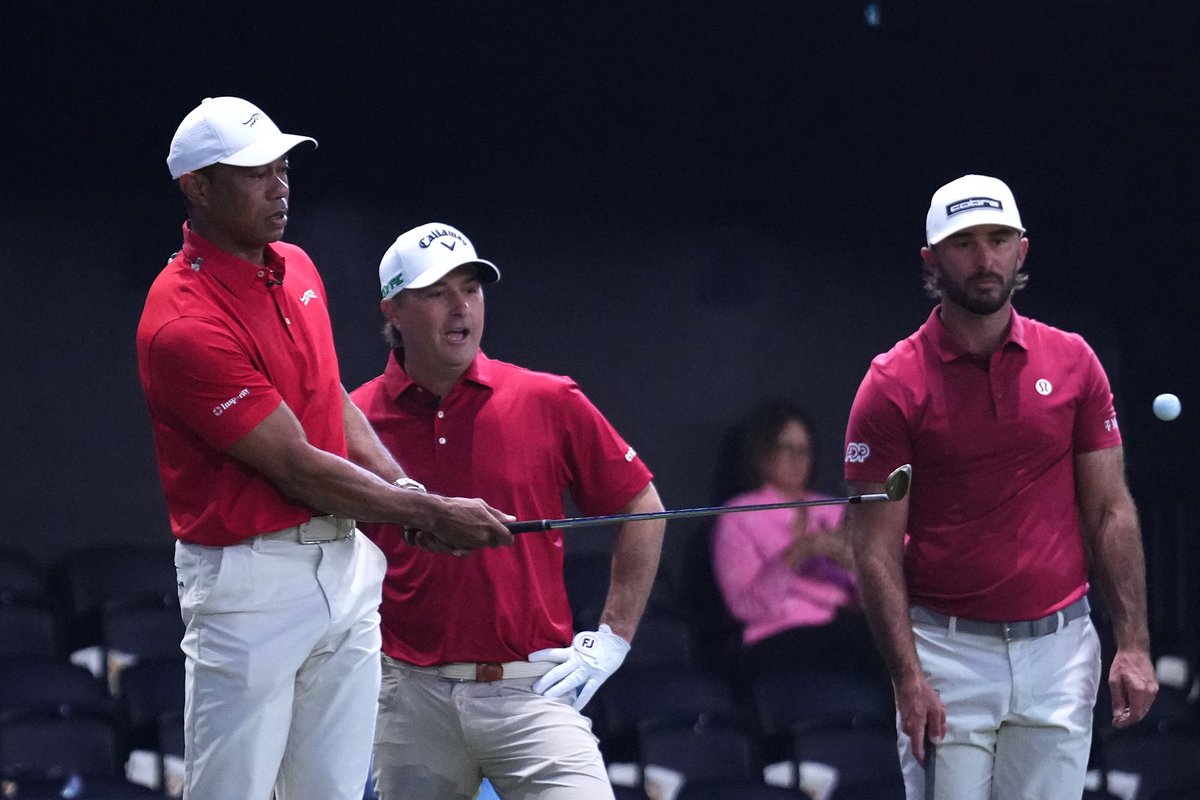 OGTigerTracker's tweet image. 👀🐅