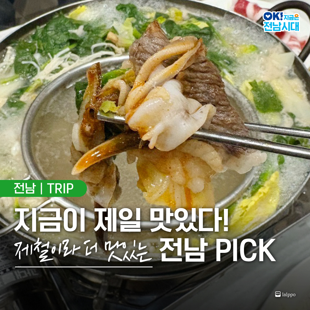 전라남도 (5개 시, 17개 군) 아이스⩥퉬⩤ 🅒🅞🅚_➒➒➒➒ ⩥아이스캔디⩥얼음⩥작때기.dwz