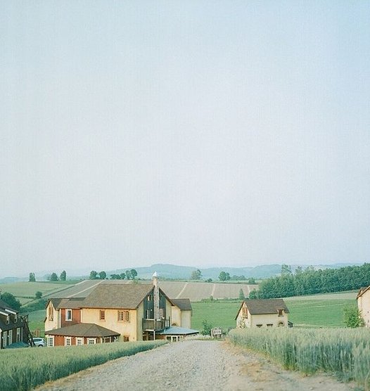 pseamon's tweet image. 夜中にお腹が空いて冷凍庫のアイス2個食べてしまった罪悪感 🐽