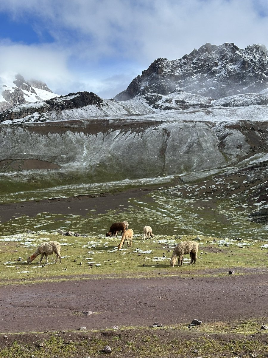 dadogeking's tweet image. Today i hiked up to 5,200 meters (17,000 feet) above sea level to see rainbow mountain and the red valley😵‍💫