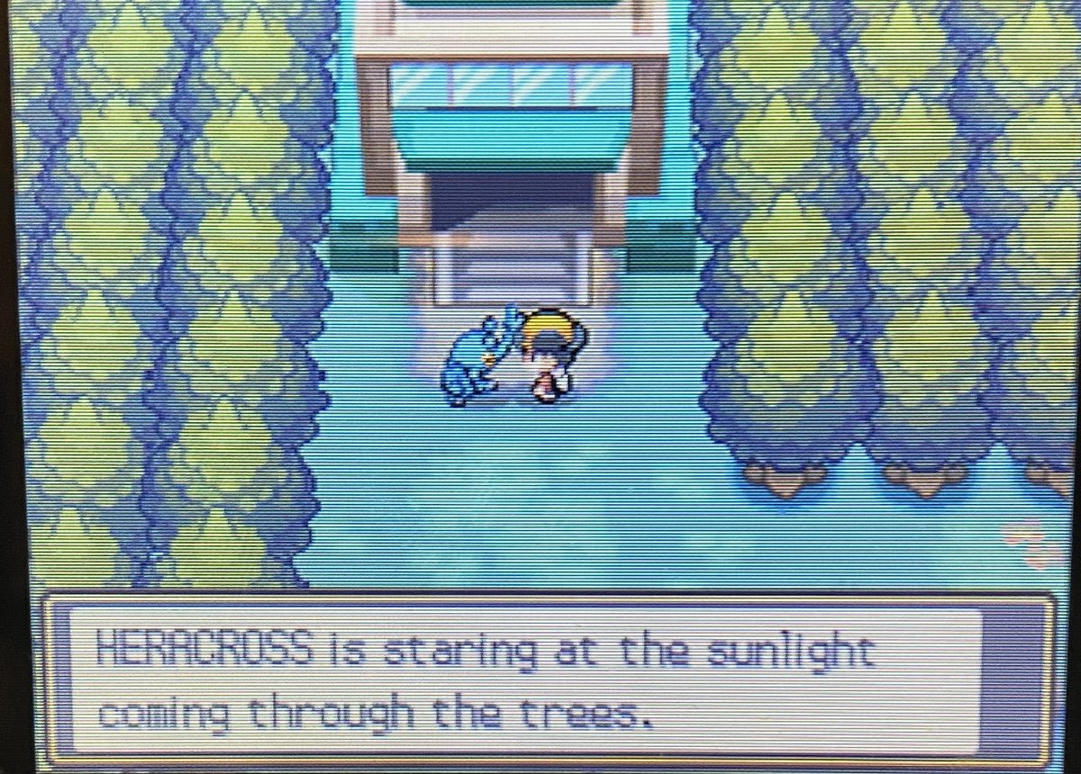 PokemonGems's tweet image. I love these interactions so much