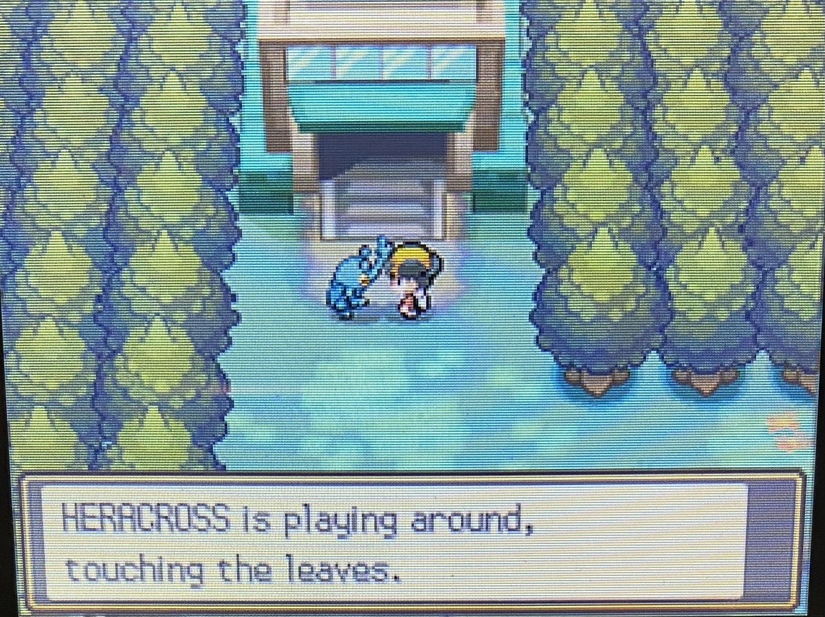 PokemonGems's tweet image. I love these interactions so much