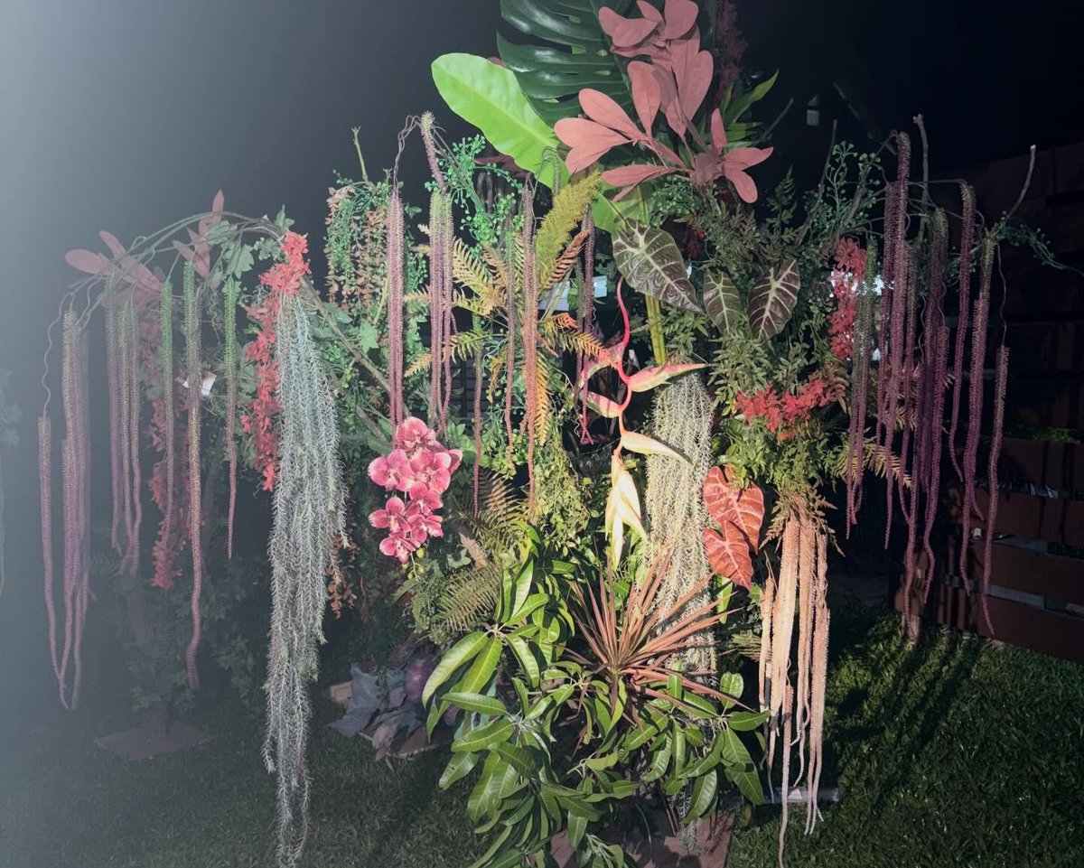 juuranghae's tweet image. 디렉터님이 올려주신 델루루 폭포 만드는 과정  🌺💐🪻
이걸직접다만드셧다고말이안돼 .......................