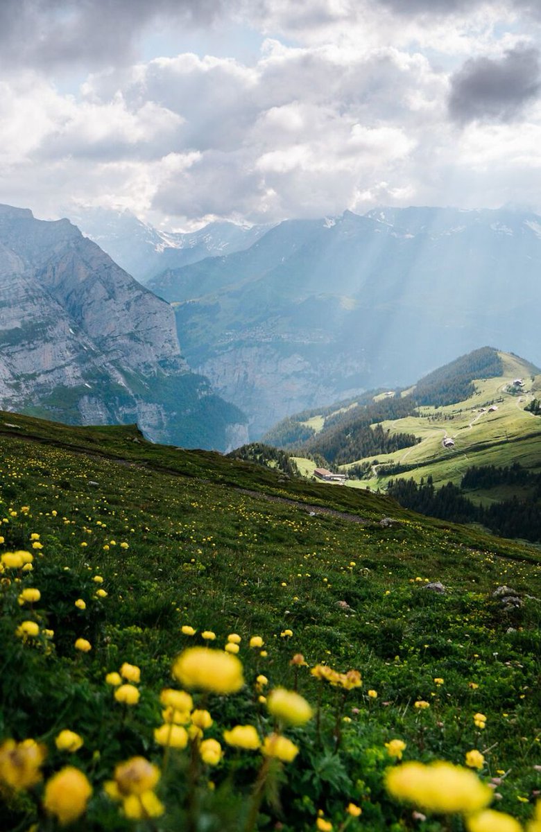 bryerpatch4u's tweet image. 図書館で借りた本の返却期限今日までだった。延滞料金取られる前に急いで返しに行こう 👨‍👨‍👧‍👦