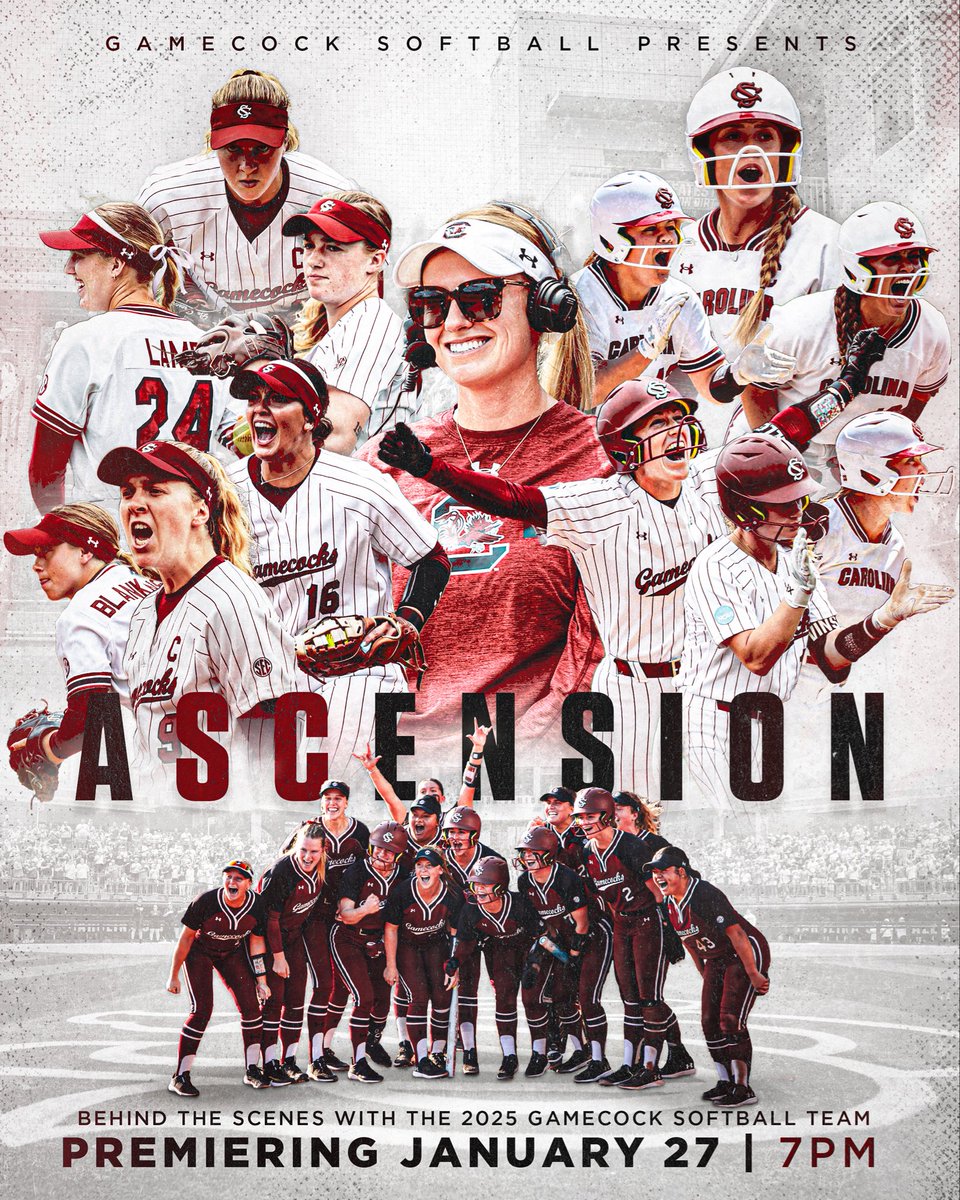 South Carolina Softball tweet media