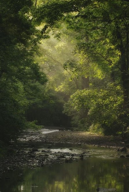 trichellieu's tweet image. 雨が降りそうな雲行きで洗濯物心配 🤵