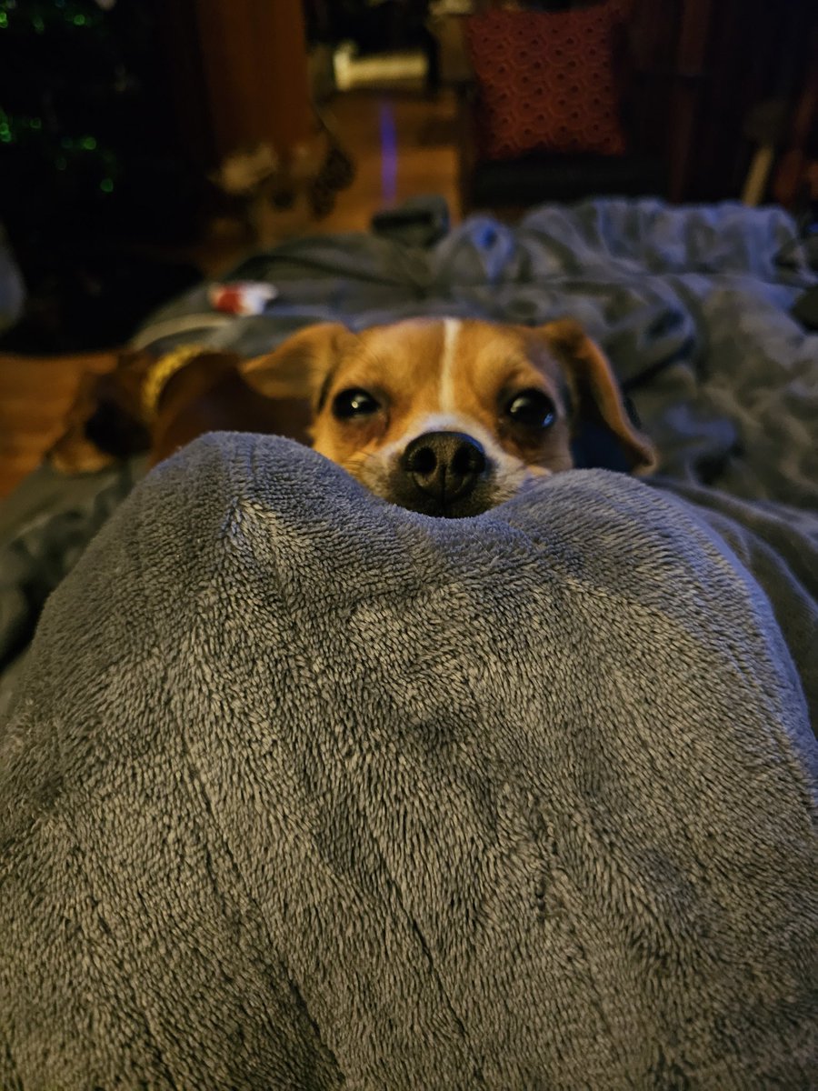My friend asked if I ever feel like Im being watched when I eat and sent me a photo of their dog supervising their spouse during dinner 

This was literally my view during dinner the moment they messaged me😂