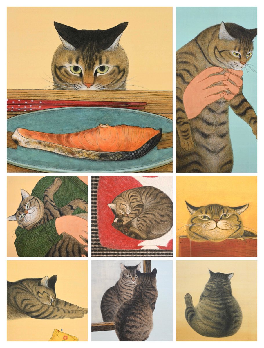 ねこと暮らす日常