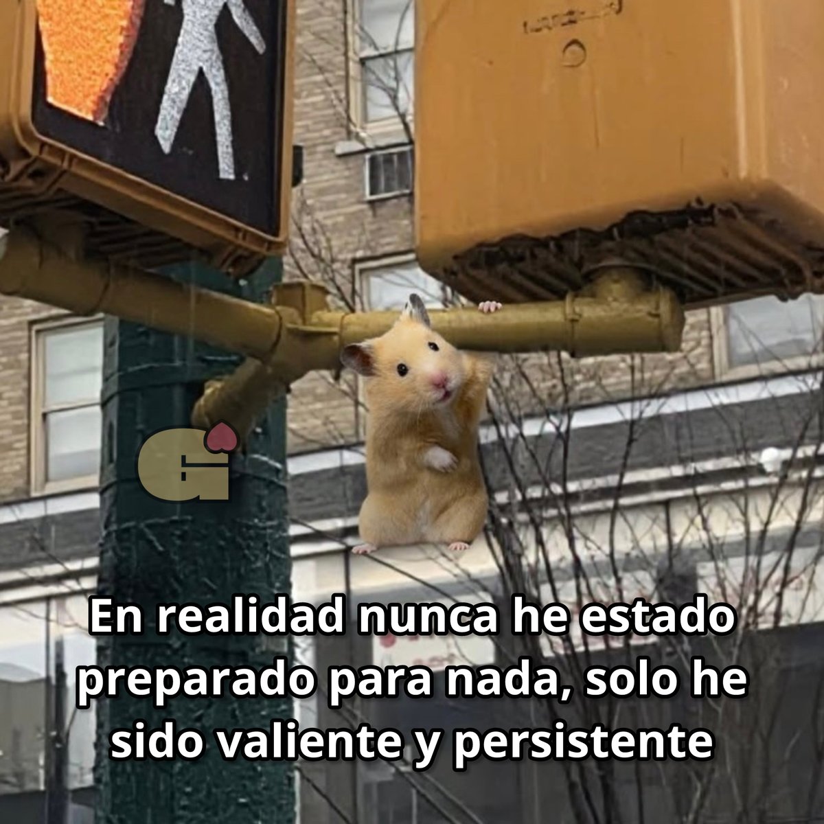 Guarromantico_'s tweet image. Asies.