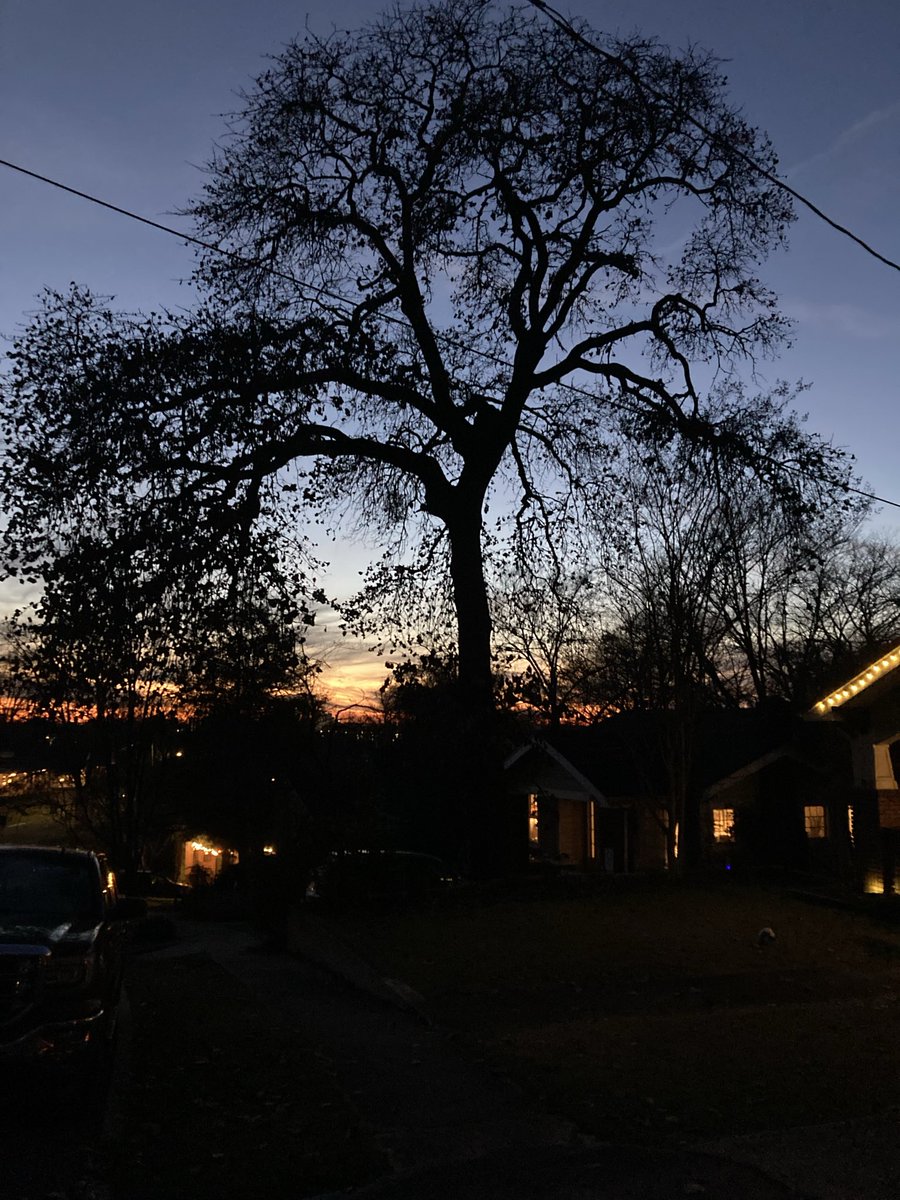 strollingwalker's tweet image. This is as good as a Tuesday night in January is gonna get.