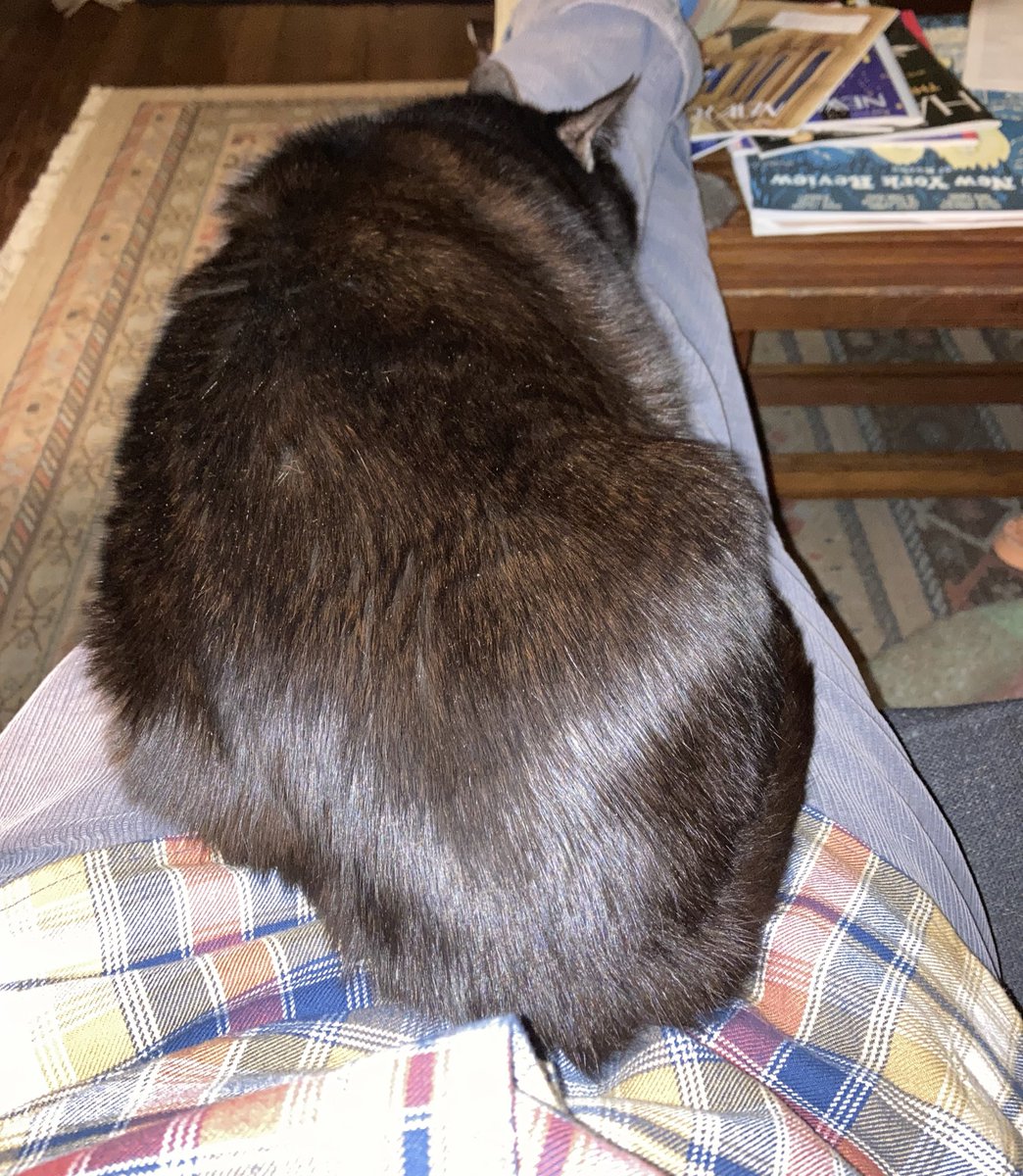 strollingwalker's tweet image. This is as good as a Tuesday night in January is gonna get.