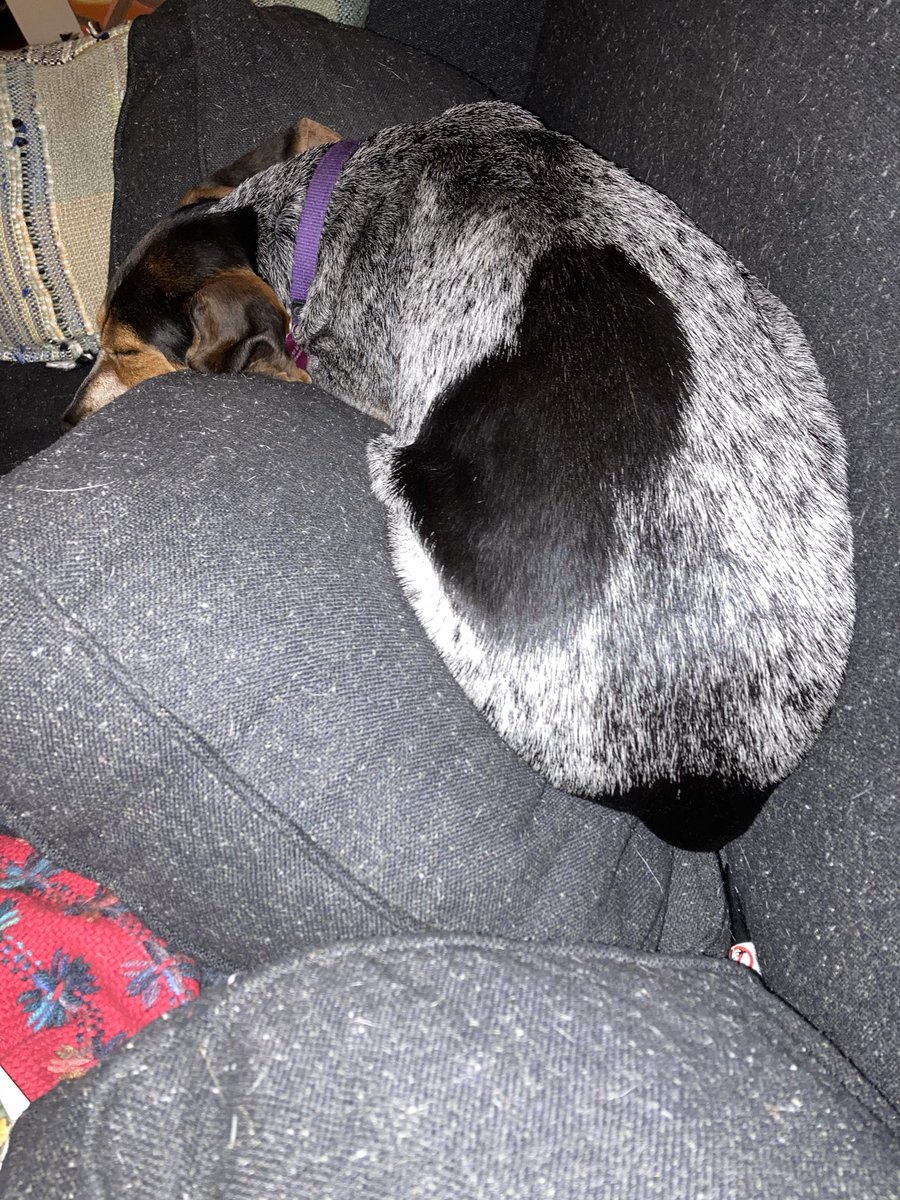 strollingwalker's tweet image. This is as good as a Tuesday night in January is gonna get.