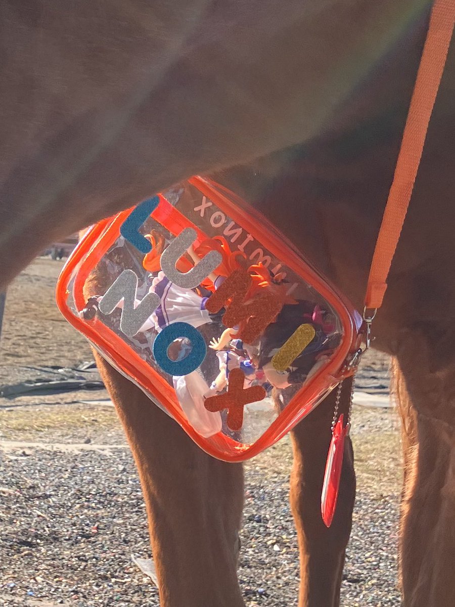 jvLVe1HRZDFTYu1's tweet image. ルミぽんはパパとお散歩🐴💕バッグの中にマヤノトップガンとトウカイテイオーのフィギアが入ってるよ♪

Lumipon is taking a walk with his dad. 🐴💕He has Mayano Top Gun and Tokai Teio figures in his bag ♪