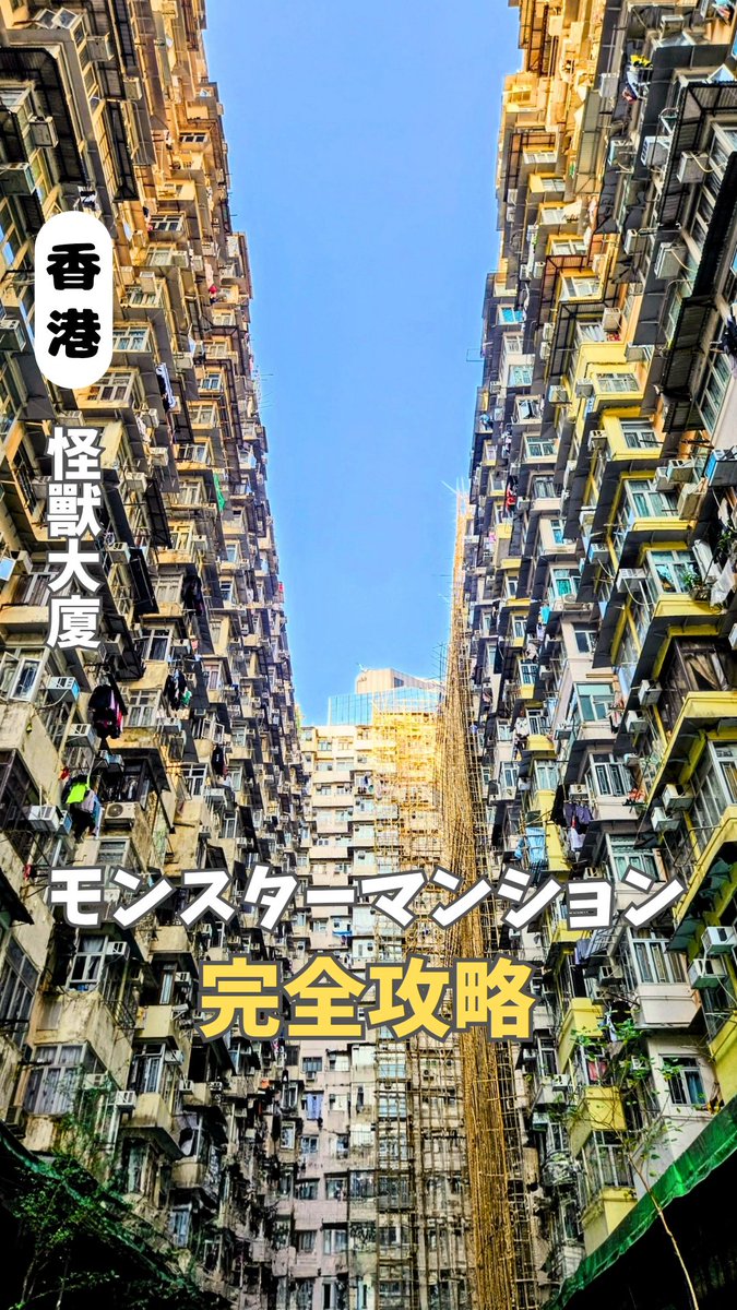 instagram.com/reel/DTc0fdiDy…
30秒でモンスターマンションまでの行き方と中のカフェ2店舗紹介してますー☕
#香港