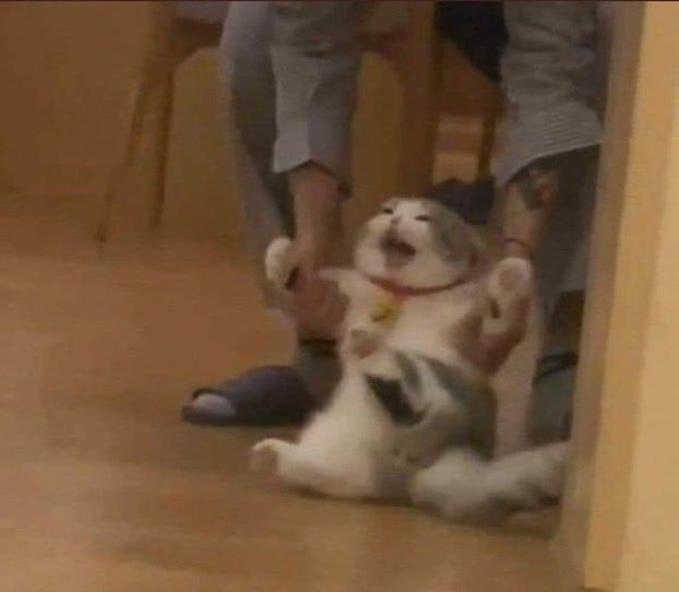 Extraño a Manin, extraño a Titano vestido de mujer #LaReinaDelFlow3