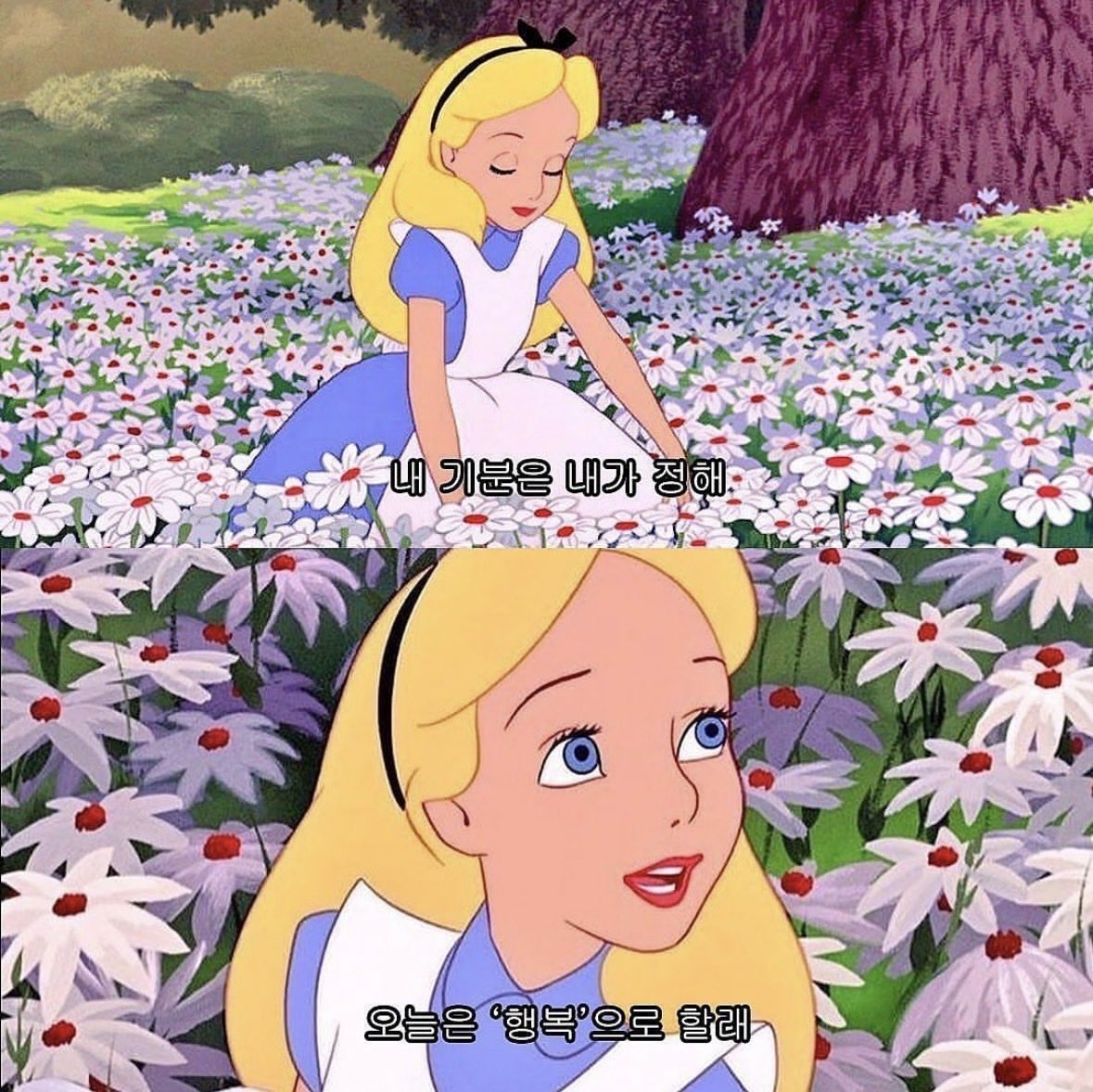 이나앨 tweet media