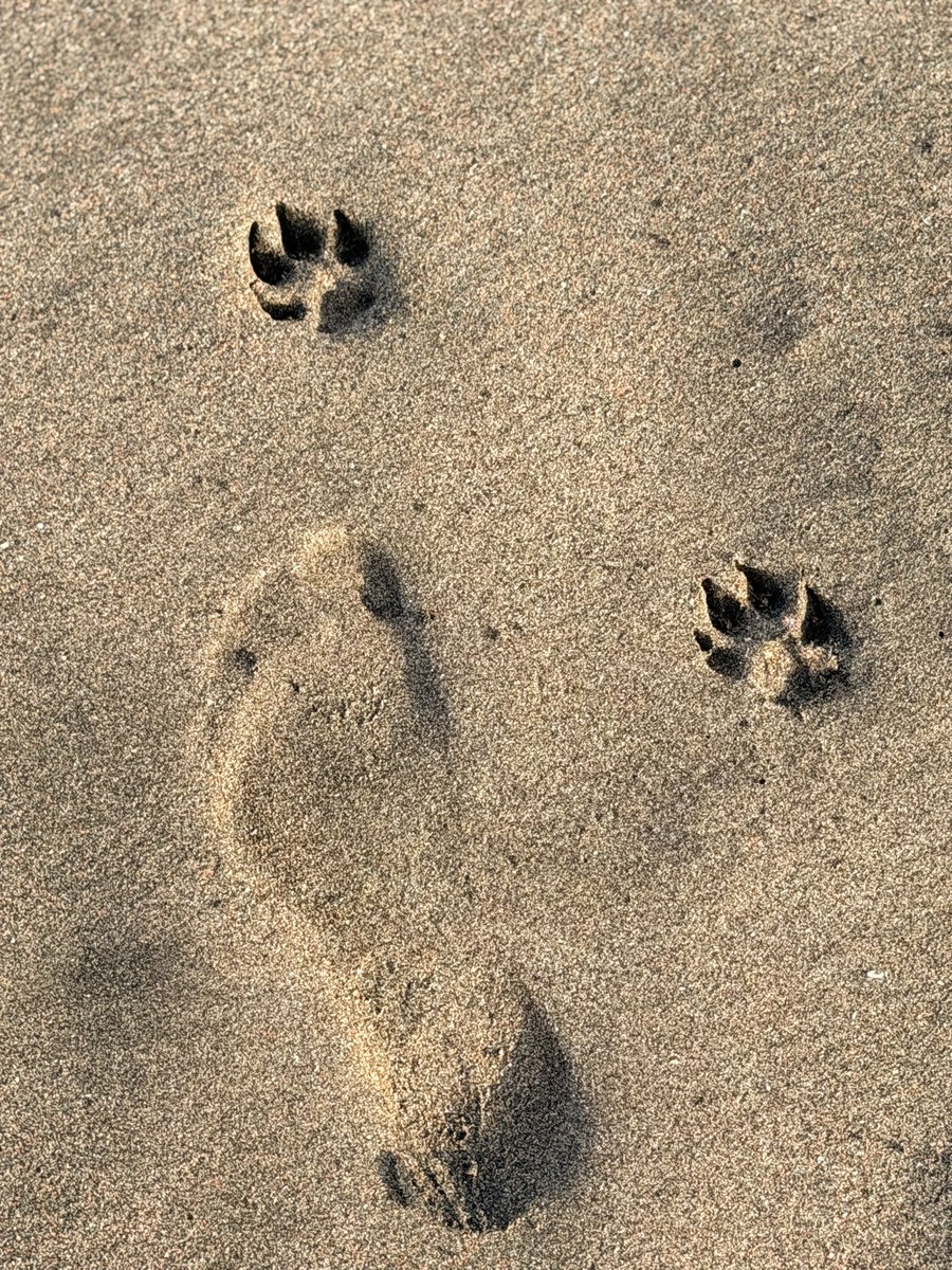 All I need right now 🙏🏽☀️!