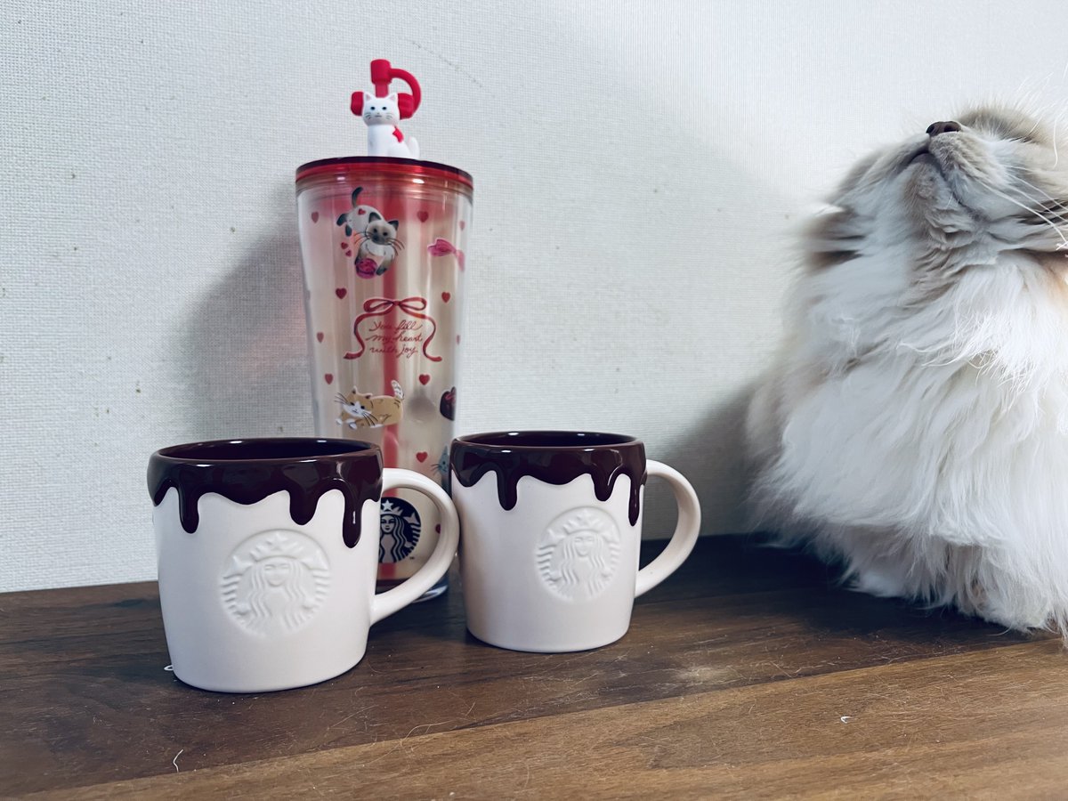gohanhoshiidesu's tweet photo. どーーーしてもほしくて朝から並んでしまった😺 https://t.co/obBSxYsxmc