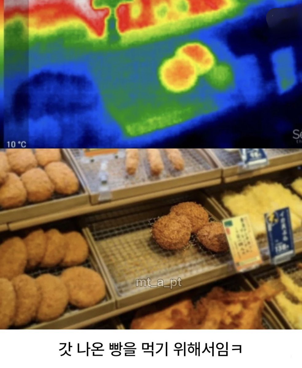 열화상 카메라를 구매한 이유가
이거일줄이야 ..ㅋㅋ