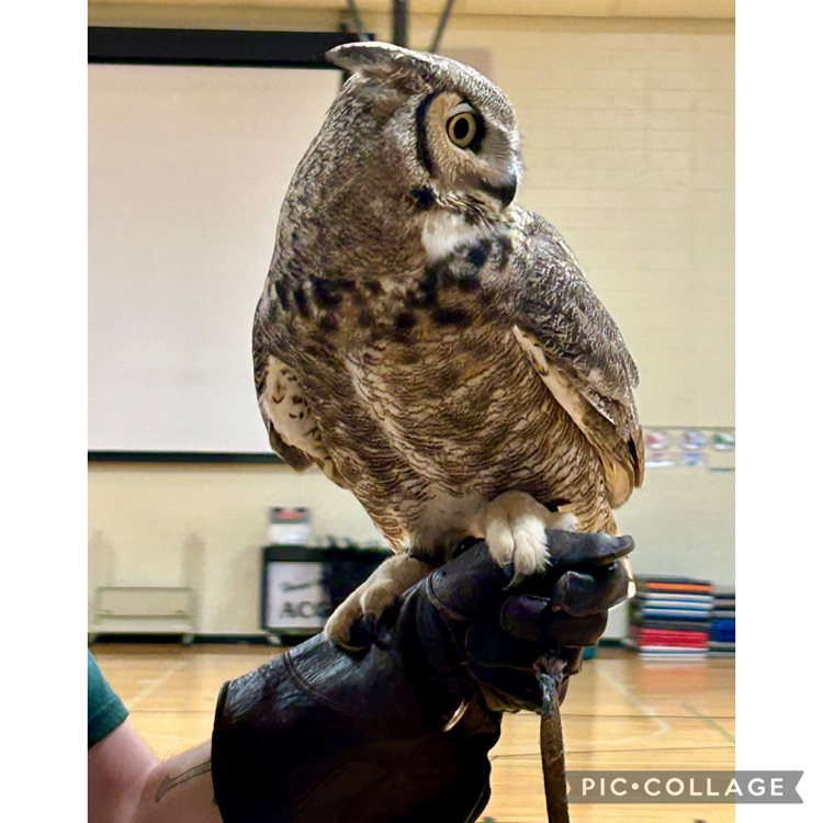 ACGC Public Schools tweet media