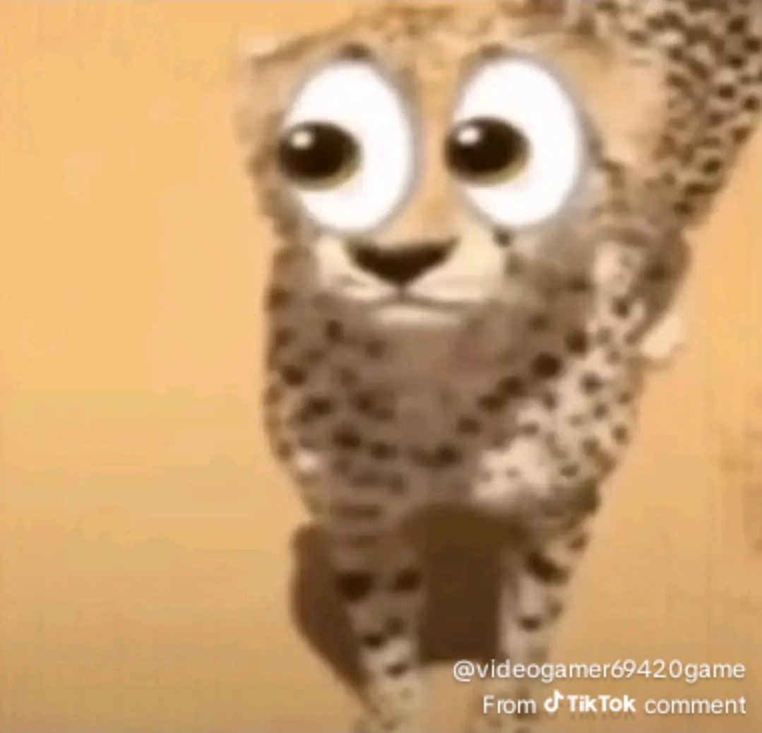 catass | smeef 🏳‍🌈 tweet media